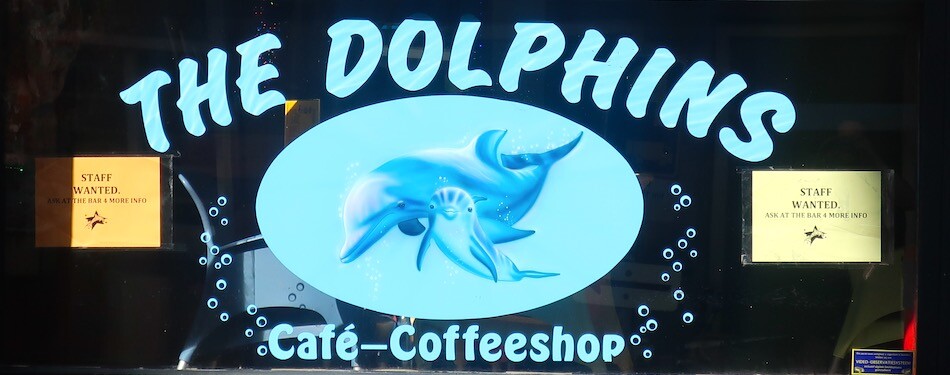 10 worst coffeeshops in amsterdam dolphins