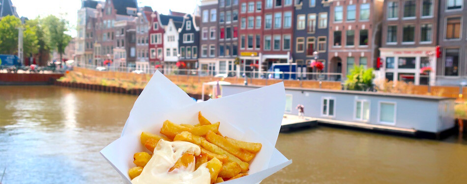 Dutch fries with mayo