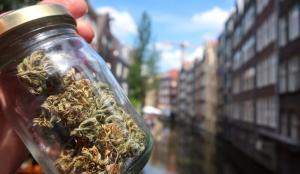 Fragen zu Drogen in Amsterdam