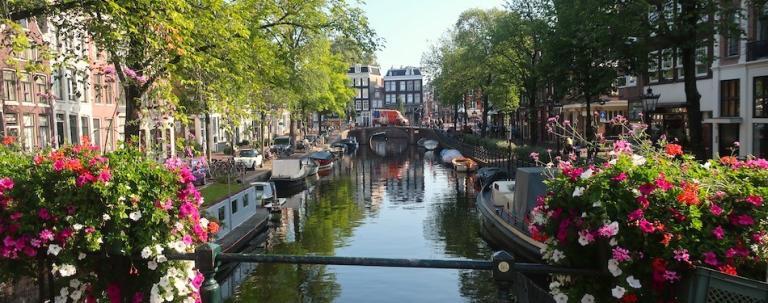 tourism industry in the netherlands