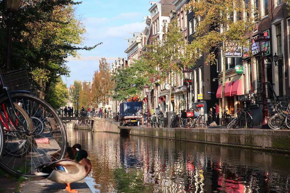 Amsterdam canals