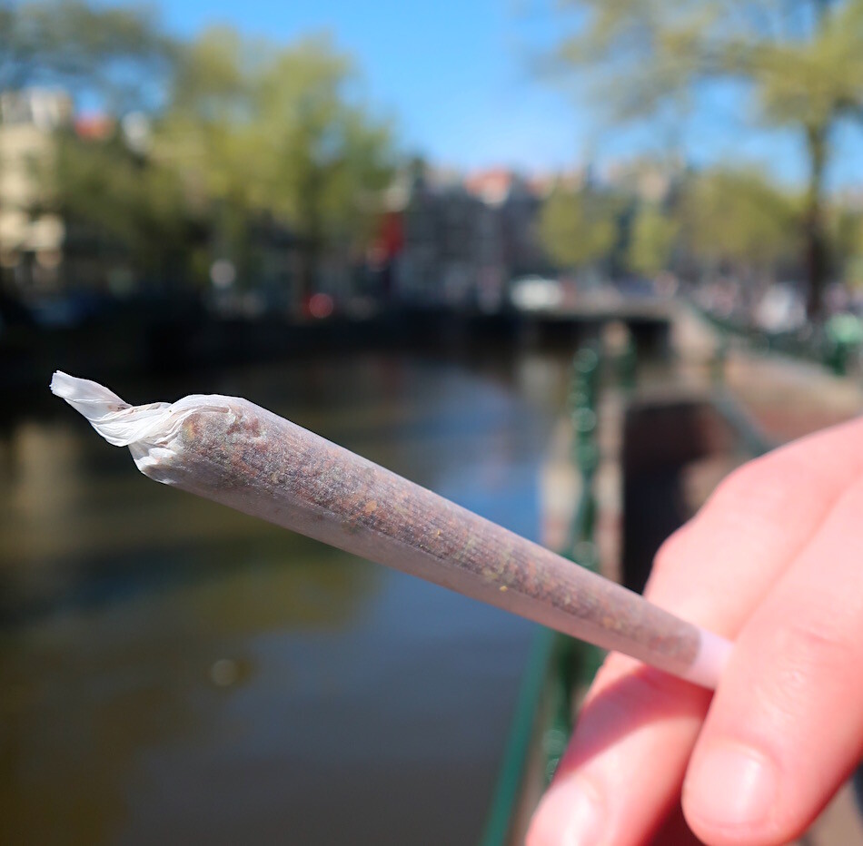 amsterdam weed history