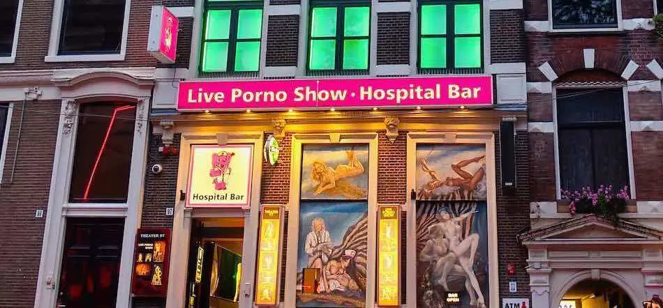 10 Sex Shows In Amsterdam Live Shows Strippers