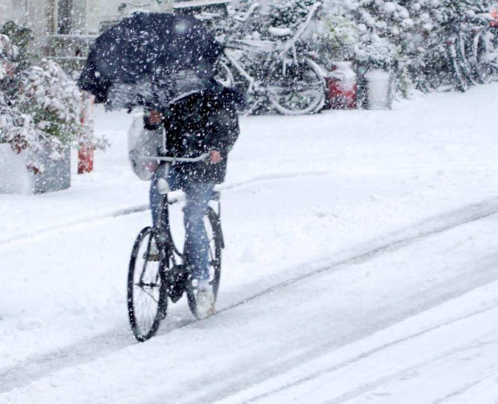 snow bike